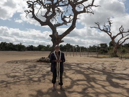 João Alves da Silva a la sombra de un árbol de pequi muerto.