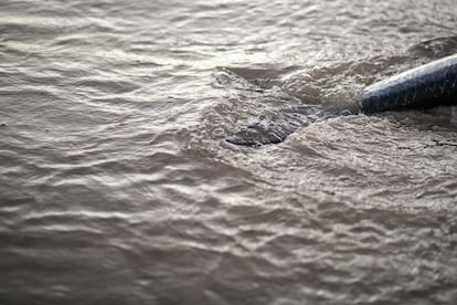 O movimento na praia do Mucuripe começa às 3h da manhã. É quando os homens começam a retornar do mar para descarregar o peixe ali mesmo, na praia, e vendê-lo. 