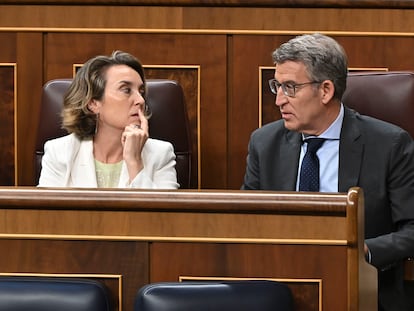 La secretaria general del PP, Cuca Gamarra, y el líder popular, Alberto Núñez Feijóo, durante el pleno del Congreso este jueves en Madrid.