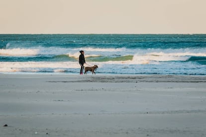 Una mujer paseando con su perro por la playa de Gandia (Valencia).