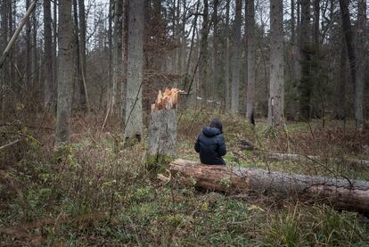 Kasia Wappa consulta seu celular enquanto procura o grupo de sírios na floresta de Bialowieza.