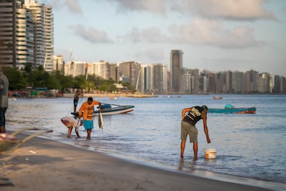 Pescadores descarregam o pescado na pequena faixa de areia ainda destinada a eles.