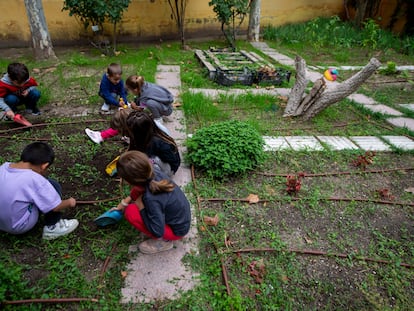 Huerto del colegio público Enrique Tierno, en San Sebastián de los Reyes.