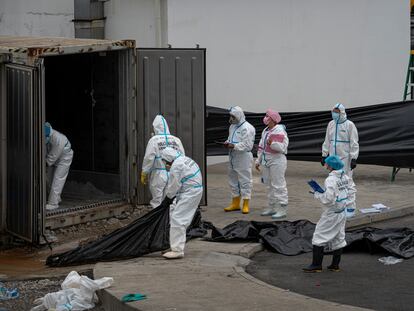 Agentes de Criminalística de la Policía Nacional retiran cadáveres en descomposición de un contenedor, en la morgue de la Policía Judicial en Guayaquil (Ecuador), el 12 de junio.