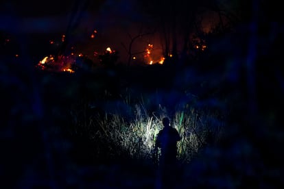 Brigadistas e bombeiros atuam para debelar o incêndio no Cocó.