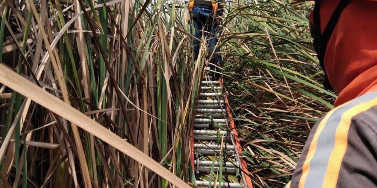 Infraestructura de  internet la más afectada