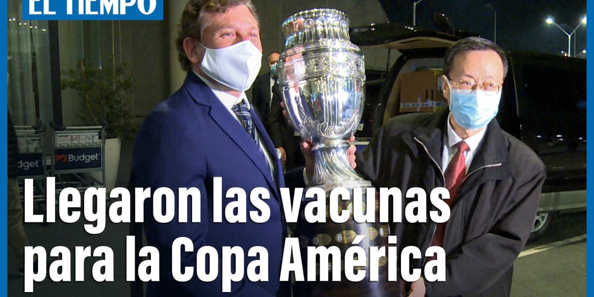 Llegaron a Uruguay las vacunas chinas donadas a Conmebol