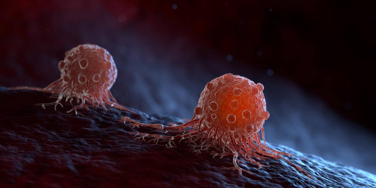 La terapia celular está diseñada para eliminar tumores y prevenir la reaparición del cáncer
