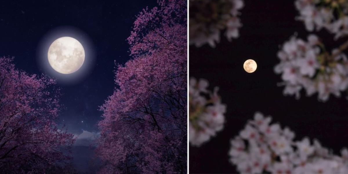 La Luna de flores es perfecta para hacer rituales