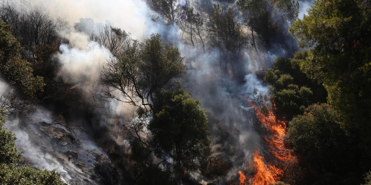 Keratea (Greece), 30/06/2024.- Fire burns pine trees during a wildfire in Keratea, southeast of Athens, Greece, 30 June 2024. Firefighting forces have been reinforced and are still fighting the blaze in Keratea, with more than 140 firefighters and 17 firefighting aircraft taking part in the operations, Civil Protection sources said. According to the civil protection services, the fire does not have a single front, but four separate sources of flames that the firefighters are working to extinguish simultaneously with constant water drops from the aircraft on each blaze. So far, six settlements have been safely evacuated and 52 people who were trapped have been brought to safety, with police taking over the evacuation of dozens of homes. (incendio forestal, Grecia, Atenas) EFE/EPA/ORESTIS PANAGIOTOU