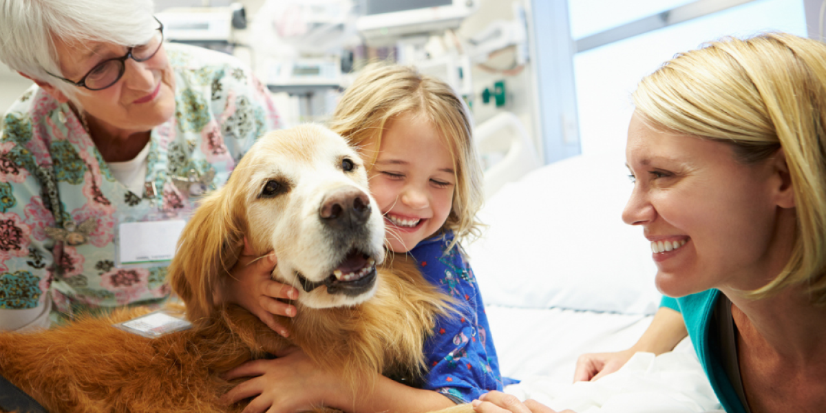 La expectativa de ver a los perros de terapia puede motivar a los niños a participar más activamente en sus tratamientos y terapias.