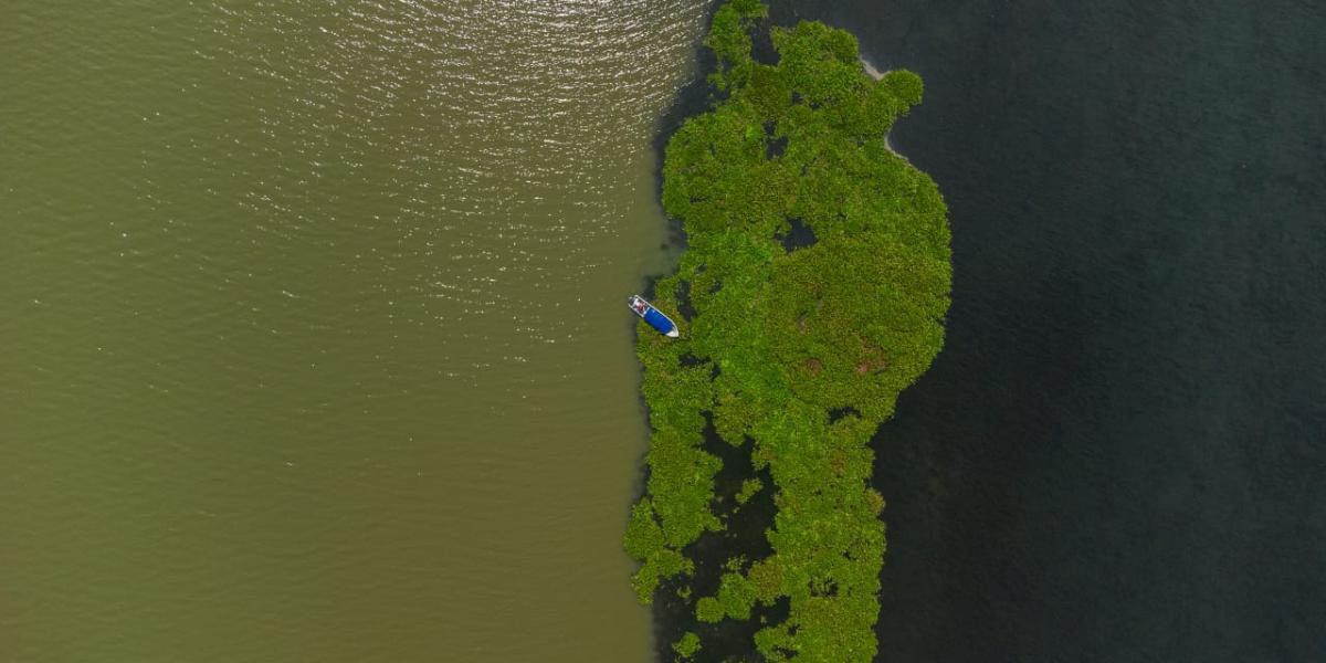 La reserva de biósfera cuenta con 301.625,46 hectáreas de ecosistemas comprendidos por playas de anidación de tortugas, manglares, ciénagas, formaciones coralinas y ecosistemas rocosos.