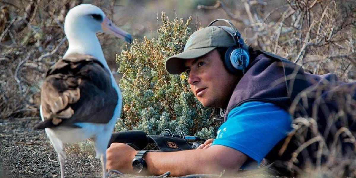 Julio Hernández Montoya trabaja con el Grupo de Ecología y Conservación de Islas, GECI, en la Isla Guadalupe.