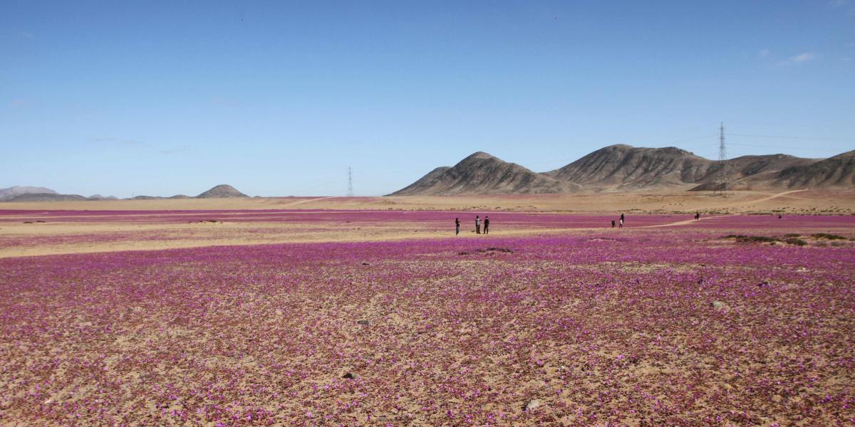 Desierto Atacama