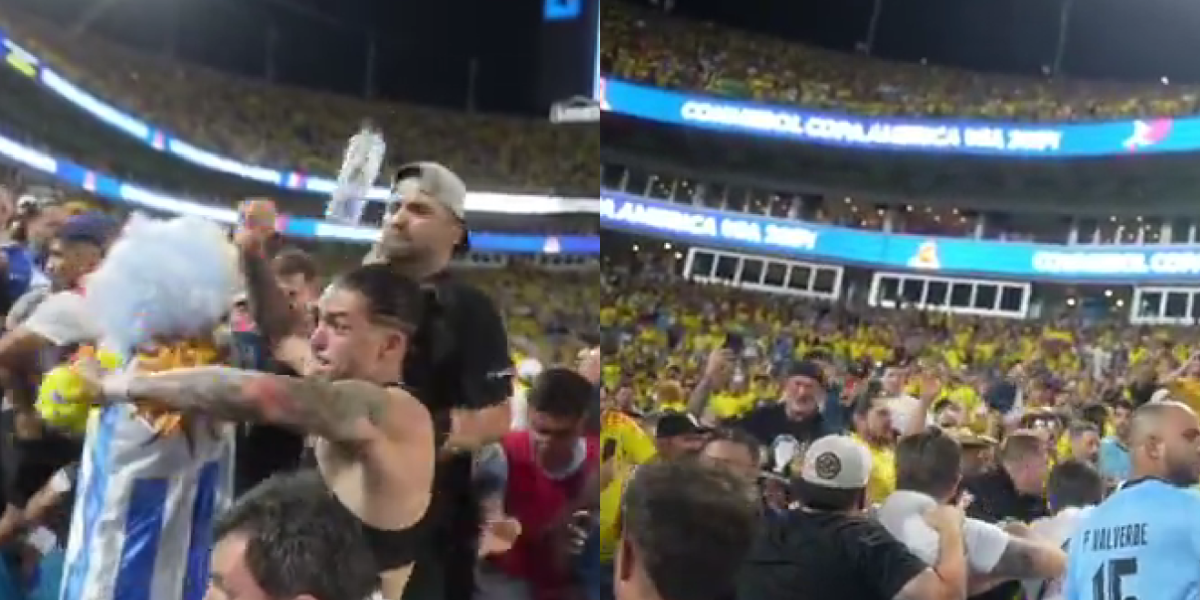 Pelea en el estadio Bank of America Stadium de Charlotte, en Carolina del Norte