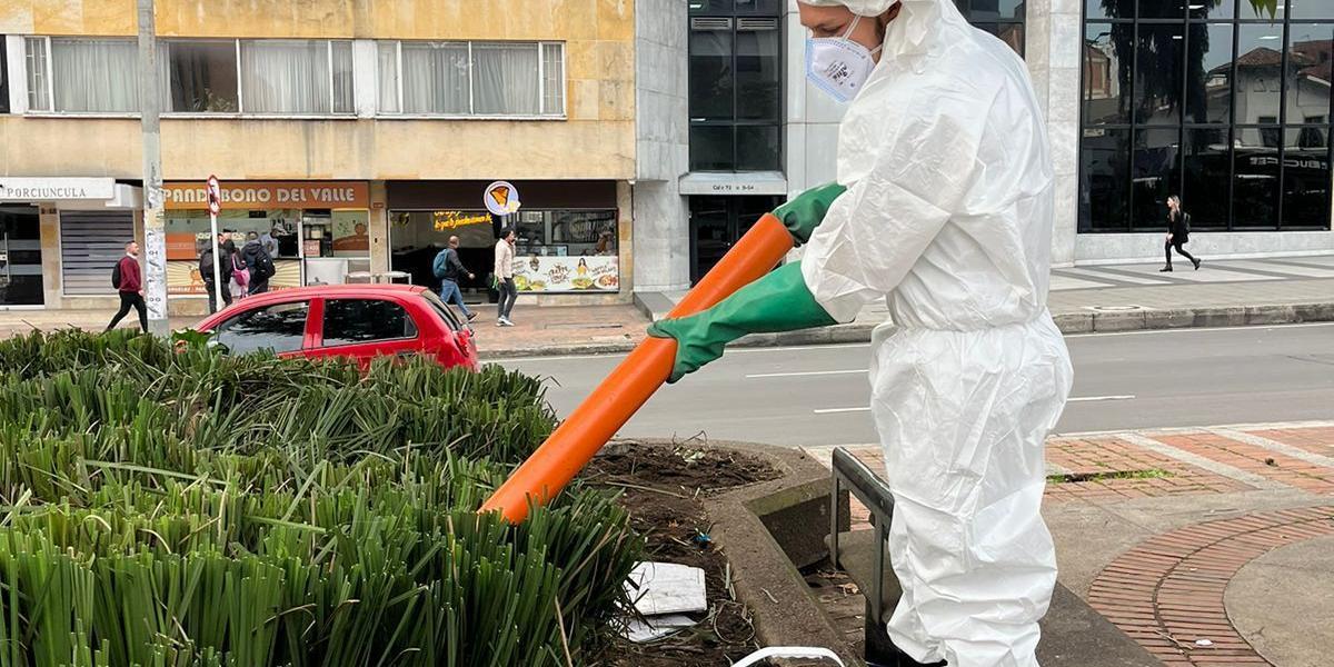 Operativos de control de ratas en Bogotá.