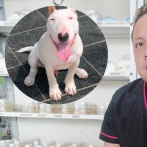 Edinson Cuadrado, fue el veterinario atacado por el perro.