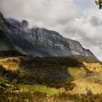 En Colombia hay 543.000 hectáreas dedicadas a la forestería comercial. En la imagen uno de estos cultivos al lado de un terreno usado para ganadería en la región Andina.