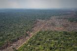 En 2021 fueron deforestadas 170.000 hectáreas en Colombia. Así se ven algunas zonas en Chiribiquete.