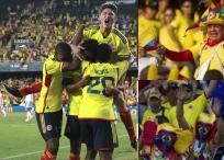 Selección Colombia hinchas