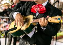 Encuentro Internacional del Mariachi y la Charrería