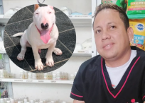 Edinson Cuadrado, fue el veterinario atacado por el perro.