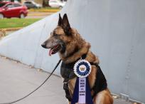 Lara pasa al retiro tras 10 años de servicio.