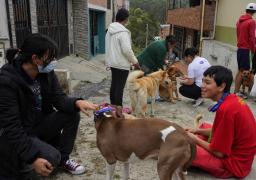 Bogotá. 27 de diciembre de 2023. En el barrio Las Lomitas del sector El Codito, se llevó a cabo una jornada de peluquería, atención veterinaria, desparasitación, entrega de alimentos y de sensibilización de animales y fauna que se encuentran en comunidades vulnerables y falta de recursos. Esta jornada fue liderada por La Clínica y Academia de Peluquería Raza y por Gabrica, además de estar  acompañados por el Instituto de Protección y Bienestar Animal.