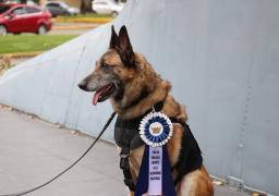 Lara pasa al retiro tras 10 años de servicio.