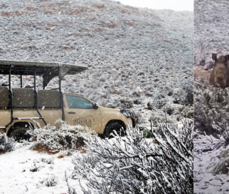 El las imágenes que han compartido varios usuarios se puede ver que la nieve cae en sitio donde hay cebras, jirafas, elefantes y leones.
