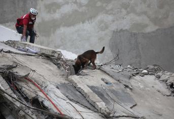 Un movimiento telúrico nunca se puede predecir. Pese a esto, se pueden tomar diferentes acciones, antes, durante y después del sismo, para evitar correr algún tipo de riesgo.