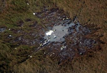 Los cadáveres del ministro de Agricultura y Ganadería, Luis Gneiting, y de otros tres funcionarios fueron rescatados tras un operativo que tuvo en vilo a Paraguay, tras la desaparición de la avioneta en la que viajaban y su posterior hallazgo en una zona pantanosa del país. El presidente Horacio Cartes, muy allegado a Gneiting, a quien nombró ministro el pasado mayo, declaró tres días de duelo por los fallecidos, al igual que el Congreso, donde había sido diputado. El resto de ocupantes del bimotor eran: el viceministro de Ganadería Vicente Ramírez; el funcionario Luis Charotti y Gerardo López, que era el piloto y había sido exviceministro de Agricultura.