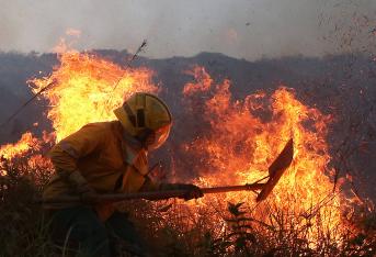 Como verdaderos héroes fueron llamados los Bomberos de Cali y Jamundí tras controlar las conflagraciones en el cerro de Cristo Rey y Terranova, respectivamente, donde murieron y quedaron heridos varios animales y se quemaron decenas de hectáreas. Piden a la comunidad no quemar basuras, tirar cigarillos, ni dejar vidrios en las montañas o pastizales.