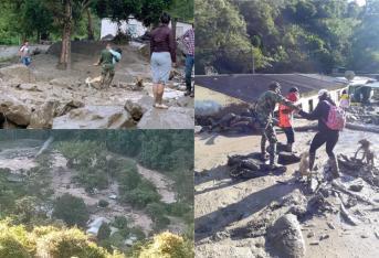 Este jueves a las 3 a. m. los habitantes de la vereda La Virginia, en Chaparral, Tolima, fueron sorprendidos por una avalancha que se llevó a su paso estructuras importantes, como el hospital o el colegio del pueblo, y dejó un saldo de 8 personas que, hasta el momento, están desaparecidas.