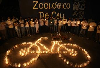 En el Zoológico de Cali, familiares, trabajadores y ciclistas, le rindieron un sentido homenaje con una velatón a Julio Muñóz, quien falleció luego que un conductor en estado de embriaguez lo atropellara cuando se dirigía a laborar el sábado en la mañana. En 2020, 283 ciclistas han muerto en el país por accidentes de tránsito, 29 de ellos en Cali y la mayoría han sido por conductores en estado de embriaguez o exceso de velocidad.