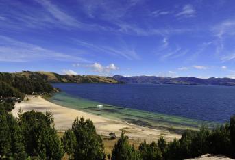 A comienzos de diciembre de este año un juez de Sogamoso, Boyacá, aceptó una tutela de la Procuraduría y reconoce al Lago de Tota, el más grande del país, como sujeto de derechos.