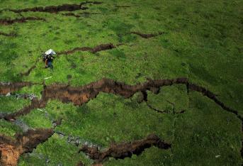 Más de 700 personas de siete veredas damnificadas y el cierre total de la vía Panamericana entre Pasto y Popayán, es lo que dejó un enorme derrumbe de cerca de 3 kilómetros en el municipio de Rosas, Cauca. El presidente Gustavo Petro, luego de visitar la zona afectada y a los damnificados, anunció que se hará una vía por otro sector para que esto no se vuelva a repetir y la compra de haciendas para reubicar a las familias afectadas. Los precios de los alimentos seguirán subiendo ya que los transportadores deben llevar los productos desde Nariño a Mocoa y continuar a Popayán y Cali. Los miles de afectados, esperan que se ejecuten las obras de manera eficiente y rápida.