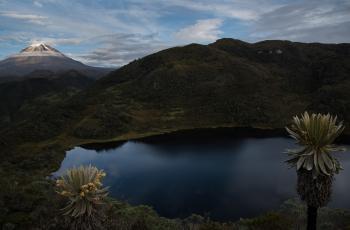 El Nevado del Tolima es uno de los sitios más icónicos y visitados. Incluso hay hoteles cercanos como Iguaima, donde puede disfrutar de avistamiento de aves, cabalgatas y hacer senderismo, entre otros.