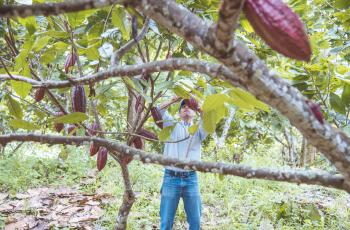 Agro Tolima