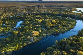 La COP16 será el escenario perfecto para mostrar los avances del país en esta apuesta global.