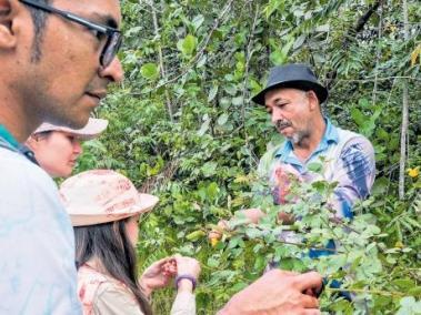 En el Guaviare hay distintas apuestas por la conservación de la Amazonía, desde reservas de conservación hasta influenciadores de la región.