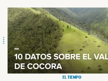 Valle del Cocora