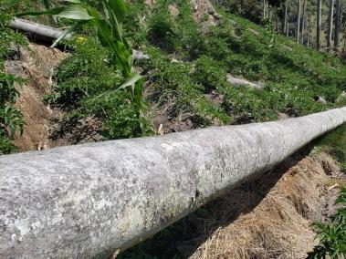 La afectación se ubica en el perímetro de la reserva forestal central y está destinado principalmente para fines de conservación de la cobertura vegetal.