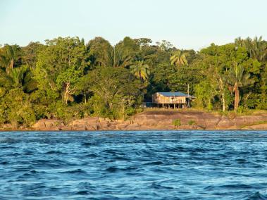 En alianza con la organización Saving the Amazon se realiza un programa forestal en el Vaupés