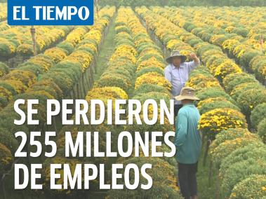 La pandemia hizo perder el equivalente a 255 millones de empleos en el mundo en 2020