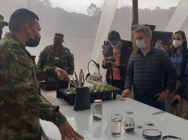 Parque Nacionales avanza en reforestación en las áreas protegidas que fueron deforestadas.