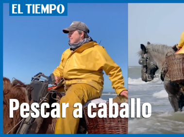 Pescar a caballo