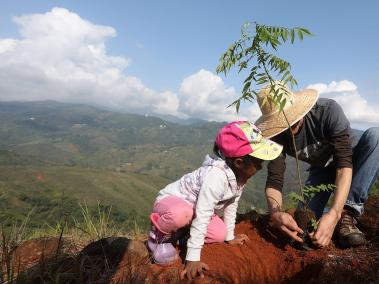 El propósito es que las jornadas de siembra, como esta en el cerro Cristo Rey en Cali, cuente con amplia participación de la sociedades civil.