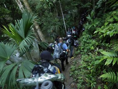 En la selva del Darién, los pasos y los resoplidos de sofoco de los migrantes haitianos se mezclan con el “an alè” (“vamos”, en creole) de los “guías” que los llevan hasta la frontera de Panamá.