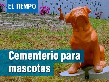 En el Cenizario de Capillas de la Fe, se le rinde un homenaje a estos seres queridos, brindándoles una bella despedida, transformando sus cenizas en un árbol.